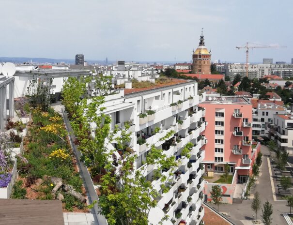 Urban Gardening in Biotope City Wien
