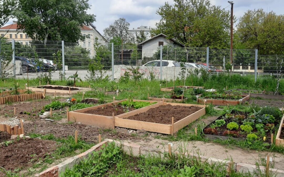 NORTHERN RAILWAY DISTRICT: FREE CENTER, TOAD TUNNELS AND SUNKEN GARDENS