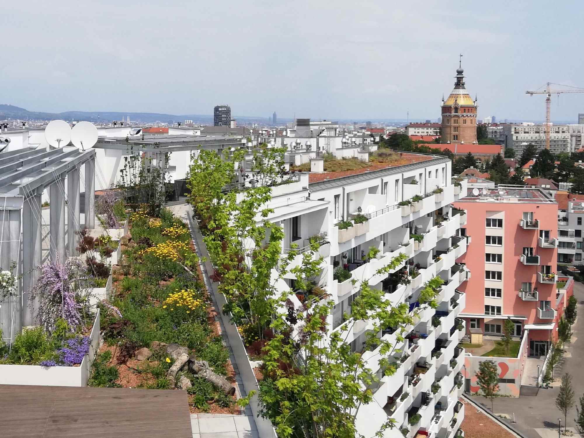 Harry Glücks Gebäude in der Biotope City